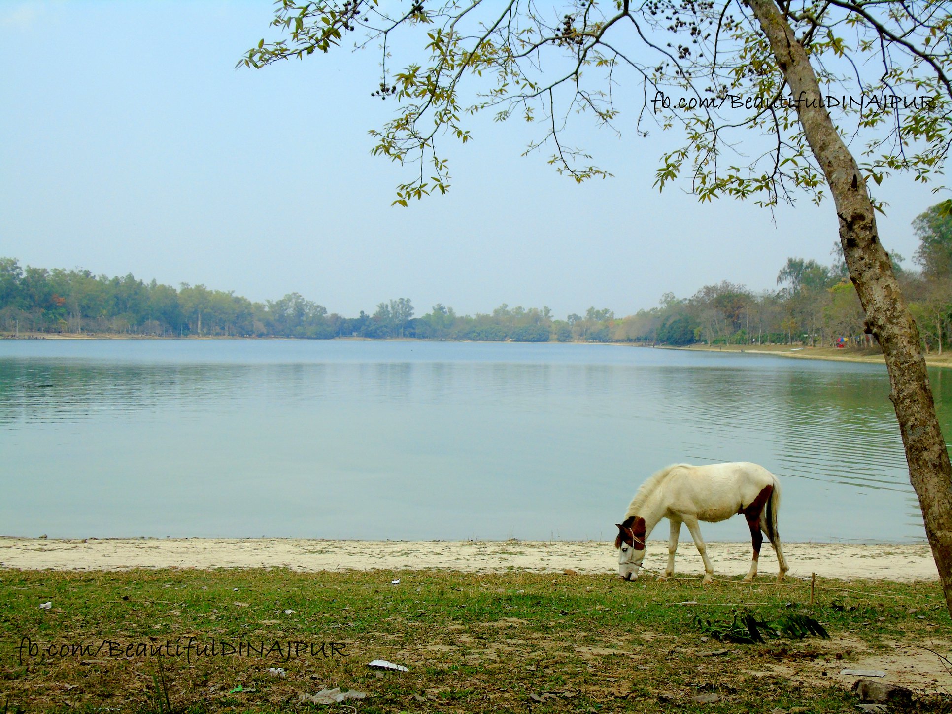 রামসাগর